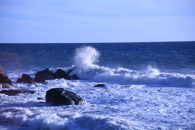 DSC_0602 (Large).JPG